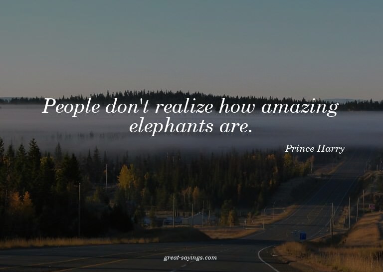 People don't realize how amazing elephants are.

