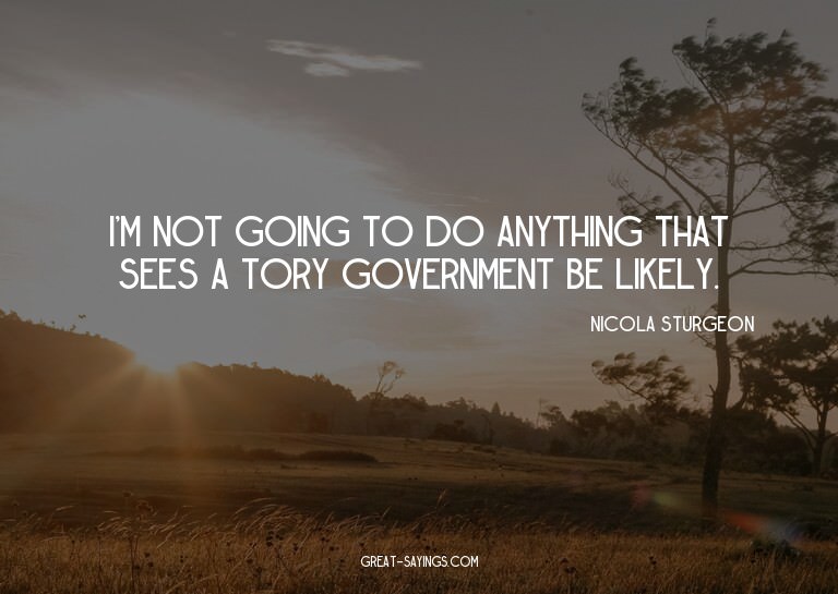 I'm not going to do anything that sees a Tory governmen