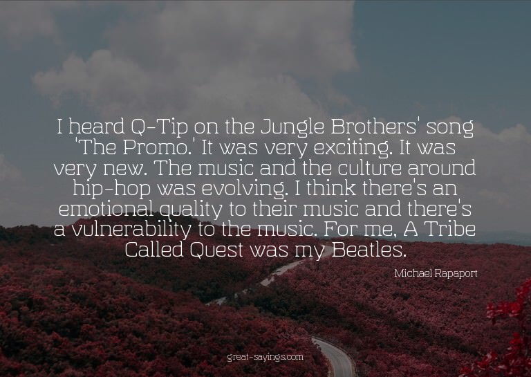 I heard Q-Tip on the Jungle Brothers' song 'The Promo.'