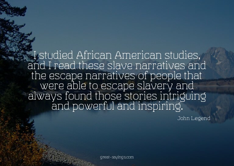 I studied African American studies, and I read these sl