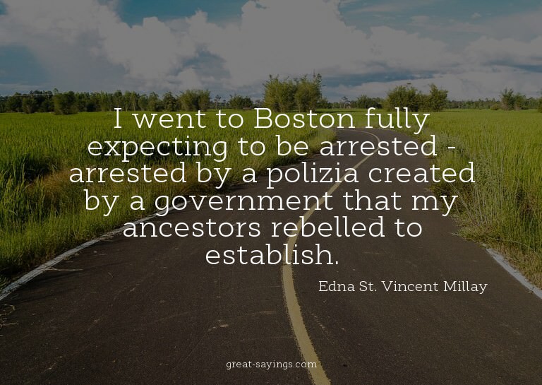 I went to Boston fully expecting to be arrested - arres