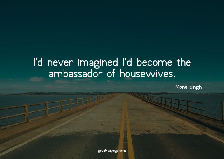 I'd never imagined I'd become the ambassador of housewi