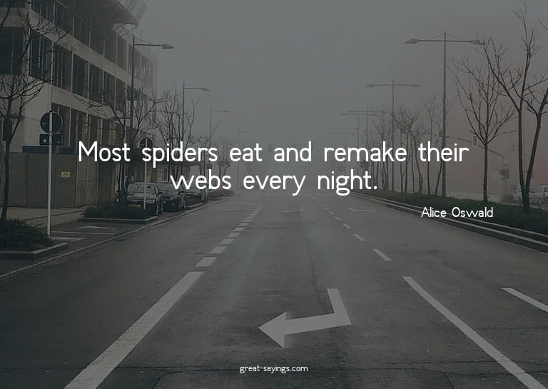 Most spiders eat and remake their webs every night.

