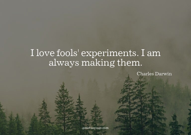 I love fools' experiments. I am always making them.


