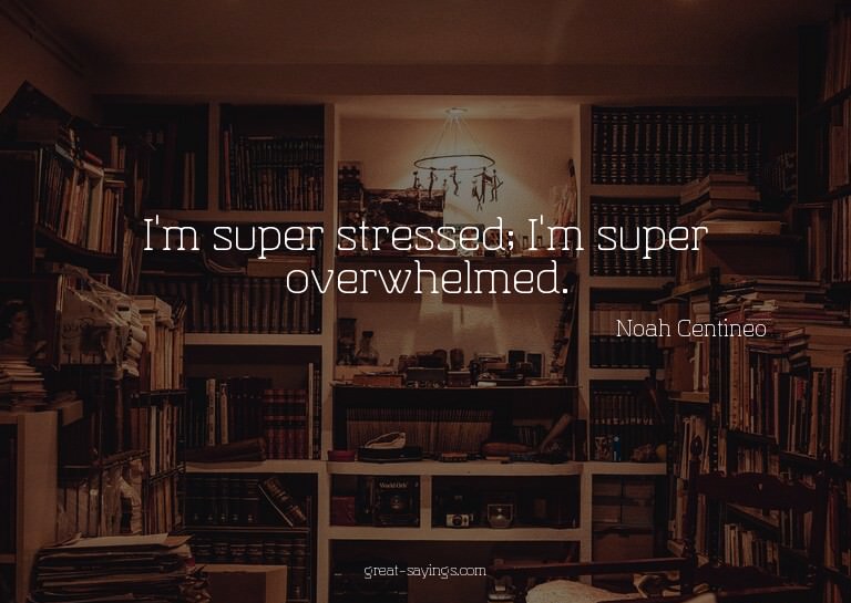 I'm super stressed; I'm super overwhelmed.

