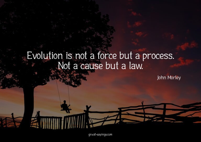 Evolution is not a force but a process. Not a cause but