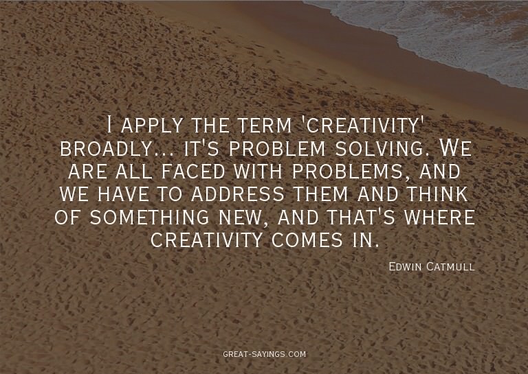 I apply the term 'creativity' broadly... it's problem s