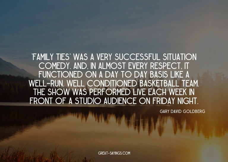 'Family Ties' was a very successful situation comedy. A