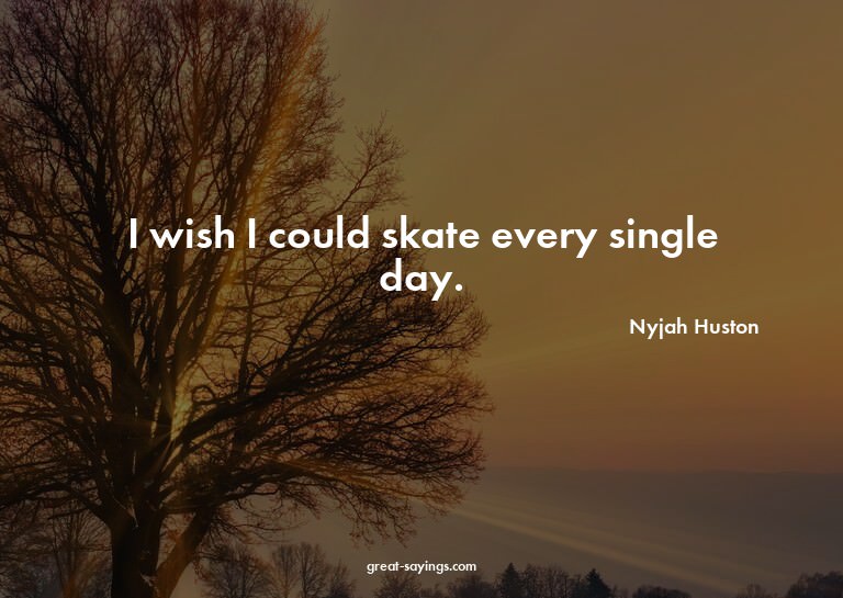 I wish I could skate every single day.

