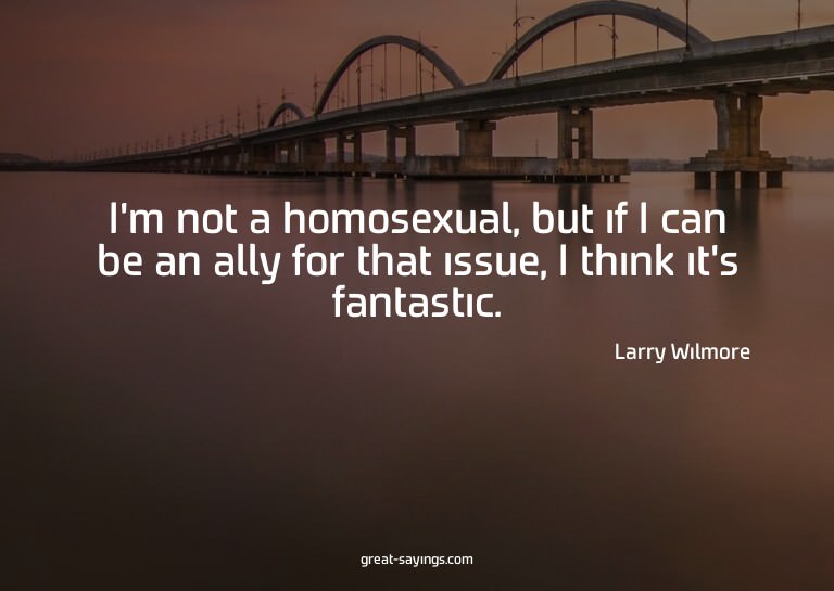 I'm not a homosexual, but if I can be an ally for that