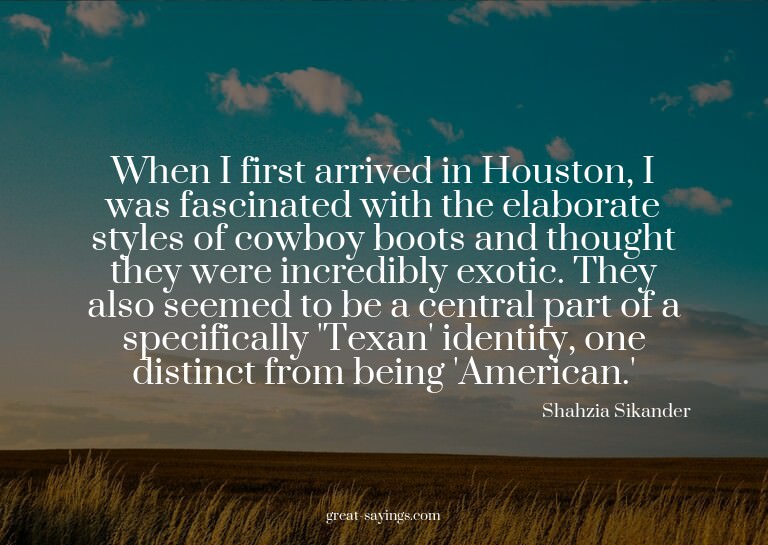 When I first arrived in Houston, I was fascinated with