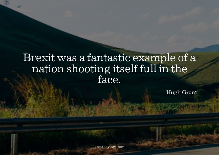 Brexit was a fantastic example of a nation shooting its