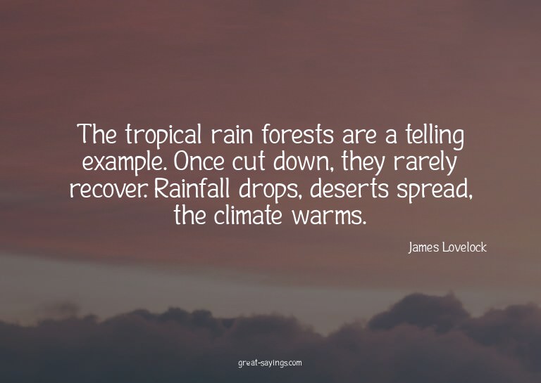 The tropical rain forests are a telling example. Once c