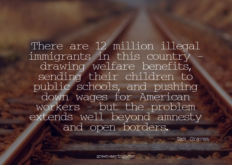 There are 12 million illegal immigrants in this country