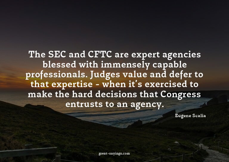 The SEC and CFTC are expert agencies blessed with immen