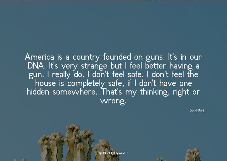 America is a country founded on guns. It's in our DNA.