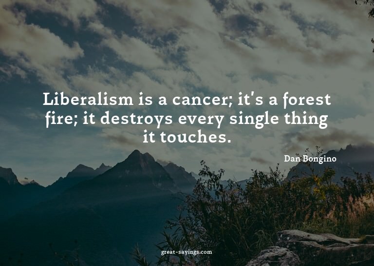 Liberalism is a cancer; it's a forest fire; it destroys