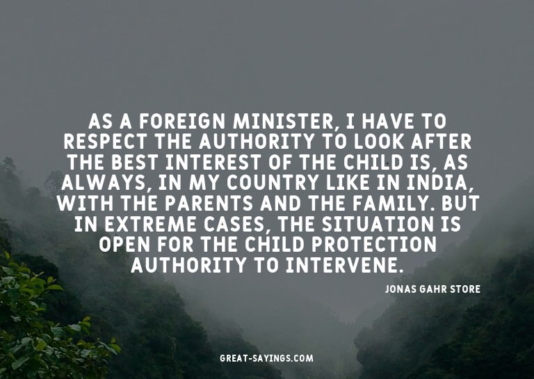 As a foreign minister, I have to respect the authority
