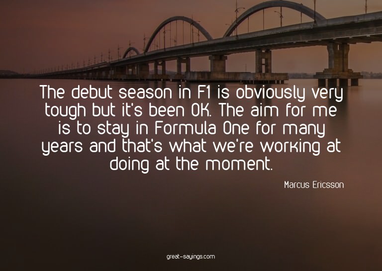 The debut season in F1 is obviously very tough but it's