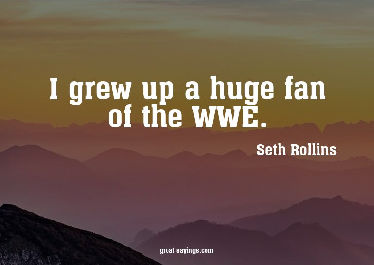 I grew up a huge fan of the WWE.

