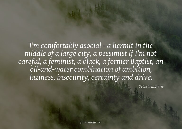 I'm comfortably asocial - a hermit in the middle of a l